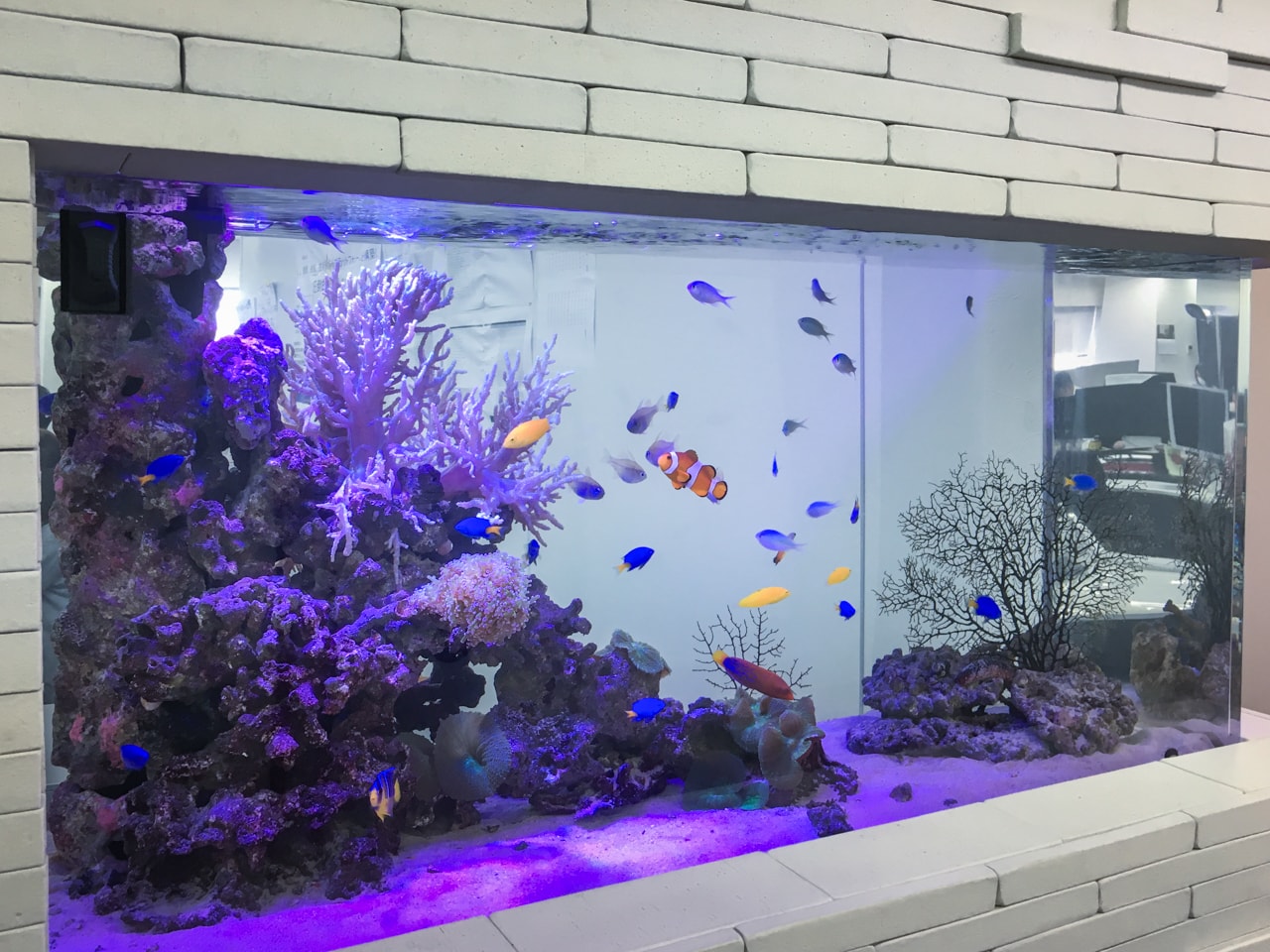 人工ライブロックセット（海水魚、サンゴ、背景、レイアウト、水槽) 人工ライブロックセット（海水魚、サンゴ、背景、レイアウト、水槽